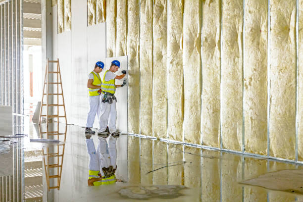 Best Spray Foam Insulation in Cambridge, MD
